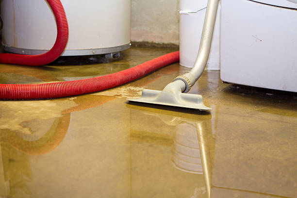 Best Commercial Water Damage Restoration in Savage, MN